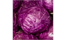 Picture of Big Red Cabbage