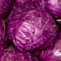 Picture of Big Red Cabbage