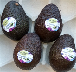Picture of Whole Avocado
