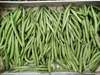 Picture of Suffolk French Beans