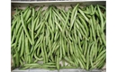 Picture of Suffolk French Beans
