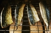 Picture of Smoked Mackerel Fillets 