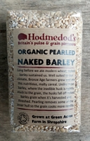 Picture of Pearled Naked Barley Grain