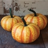 Picture of Tiger Pumpkin