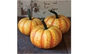 Picture of Tiger Pumpkin