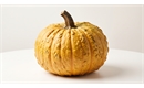 Picture of Warted Yellow Pumpkin