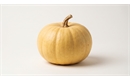 Picture of Yellow Mellow Pumpkin