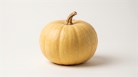 Picture of Yellow Mellow Pumpkin